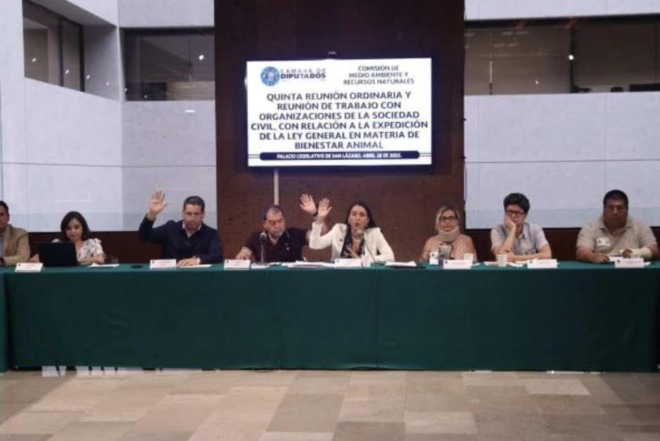 AVALAN EN COMISIÓN DICTÁMENES SOBRE ESPECIES EN PELIGRO DE EXTINCIÓN Y RESPONSABILIDAD AMBIENTAL